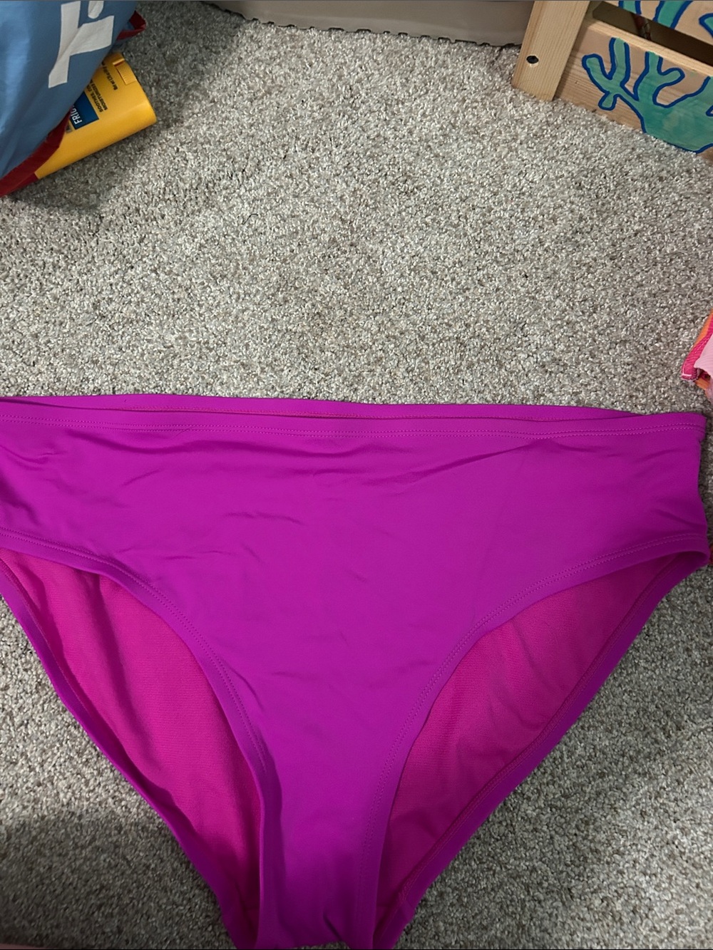 DSG Magenta High-Waist Bikini Bottoms